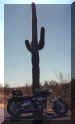 cactusbike.JPG (10582 bytes)